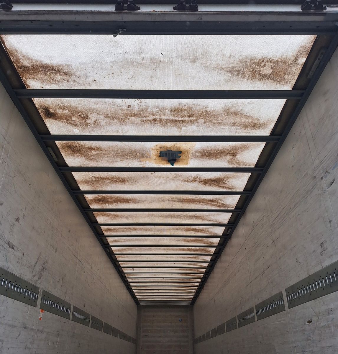 Fahrzeugabbildung Schmitz Cargobull SKO 24