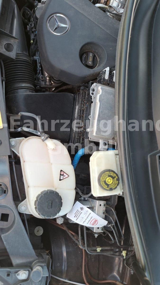 Fahrzeugabbildung Mercedes-Benz V 220 d extra lang*Bestattungswagen/Leichenwagen