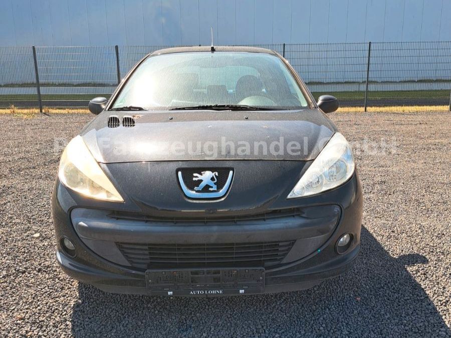 Fahrzeugabbildung Peugeot 206 + Urban Move
